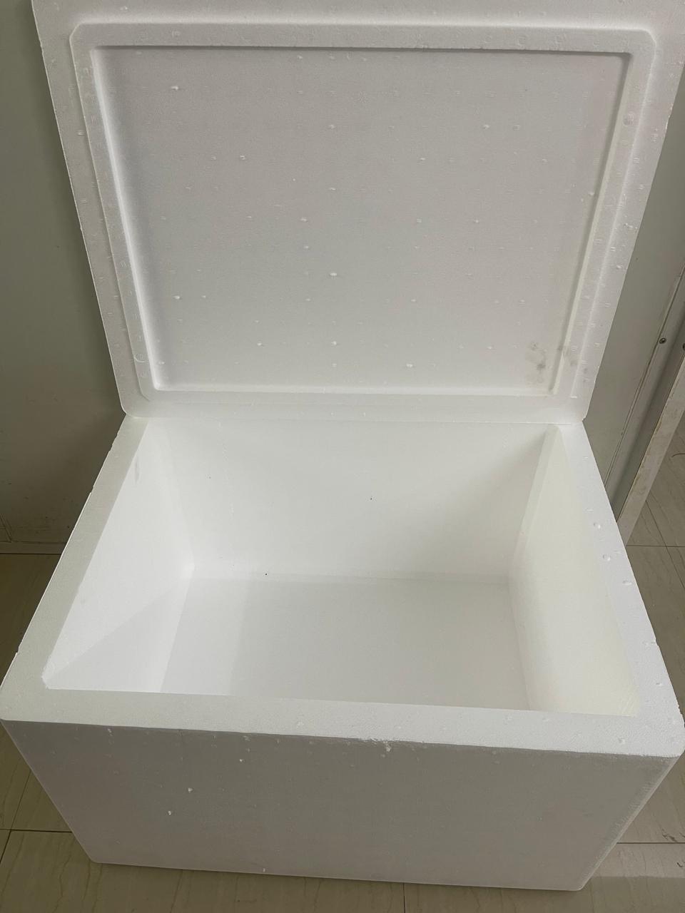 140L Thermocol Ice Box