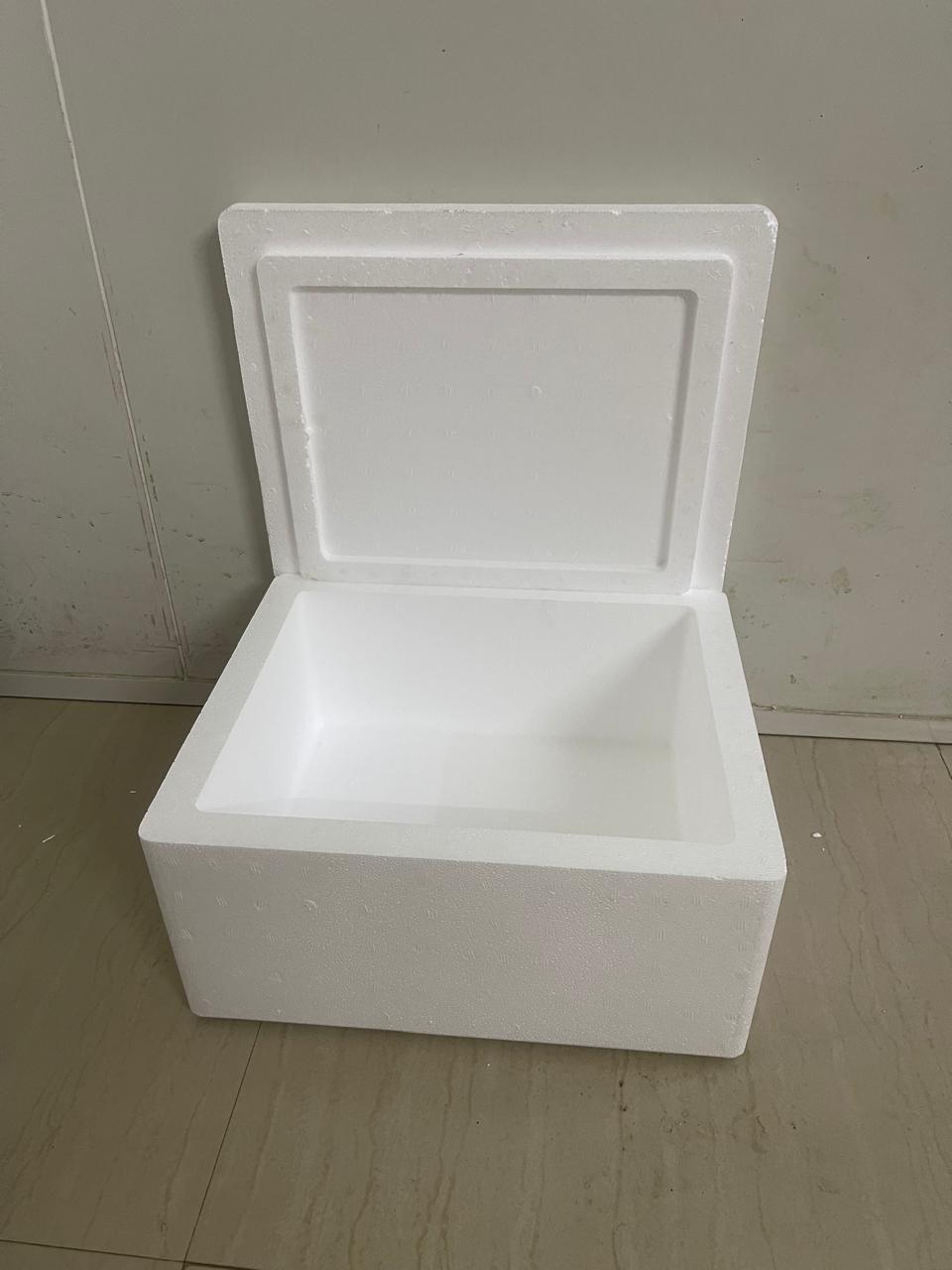 20L Thermocol Ice Box