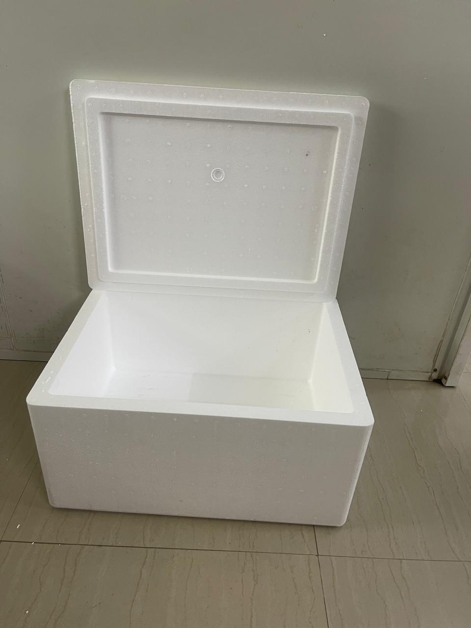 55L Thermocol Ice Box