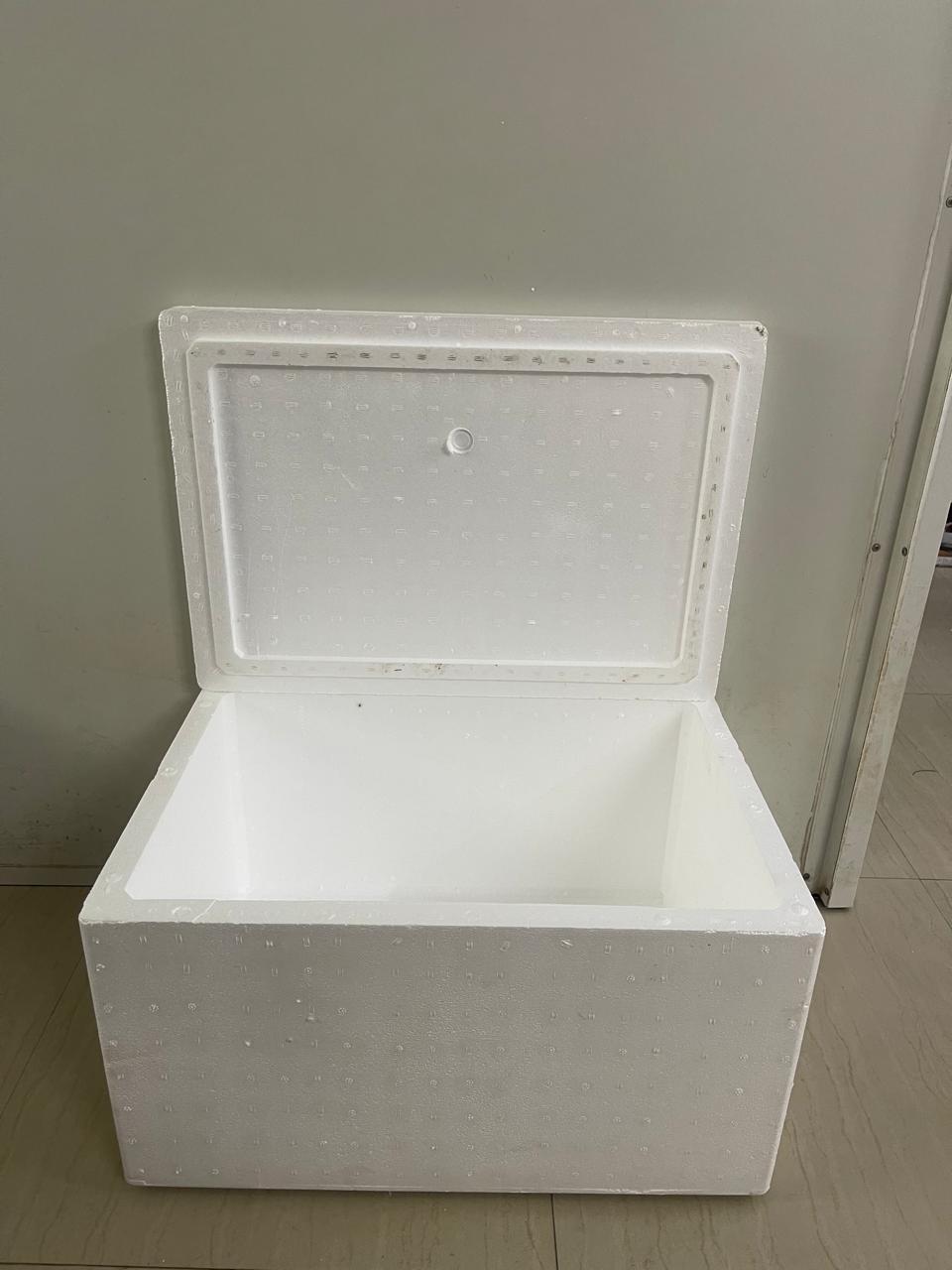 75L Thermocol Ice Box